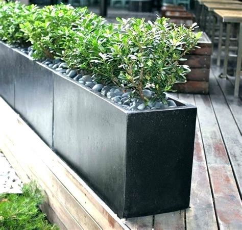 big lots planter|More.